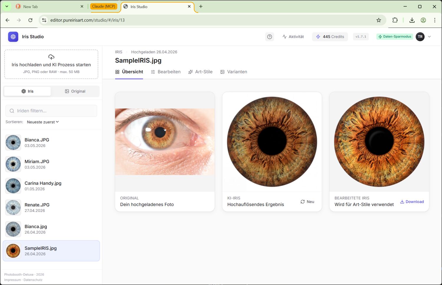 Iris-Detail Übersicht-Tab